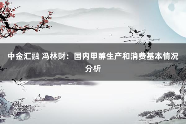 中金汇融 冯林财：国内甲醇生产和消费基本情况分析