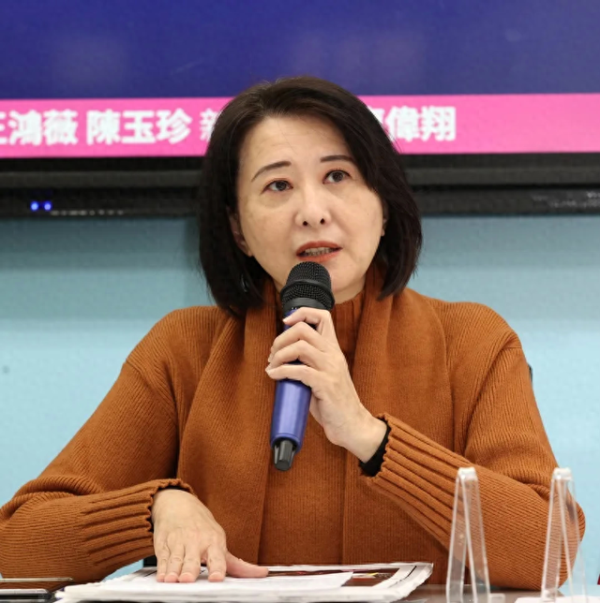 富兴配资端 绿营青壮派都不满赖清德！王鸿薇酸：大谈“团结十讲”不尴尬吗？