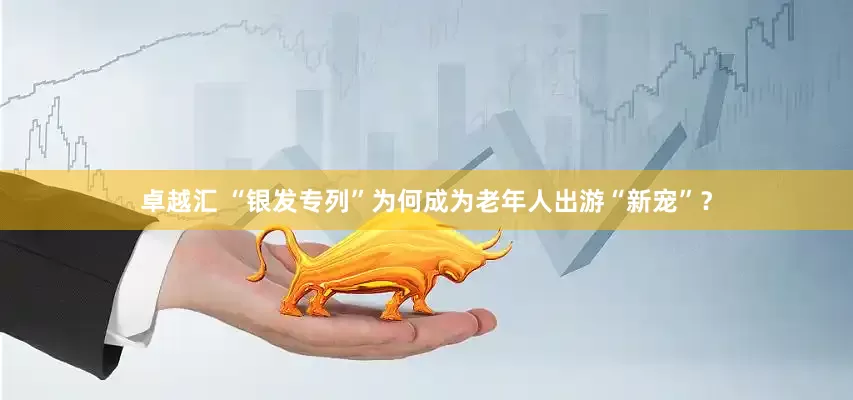 卓越汇 “银发专列”为何成为老年人出游“新宠”？