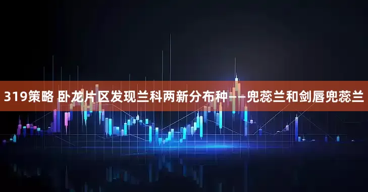 319策略 卧龙片区发现兰科两新分布种——兜蕊兰和剑唇兜蕊兰