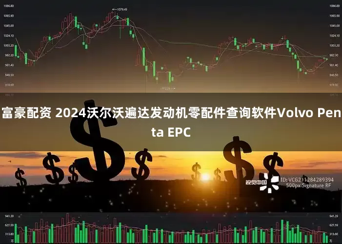 富豪配资 2024沃尔沃遍达发动机零配件查询软件Volvo Penta EPC